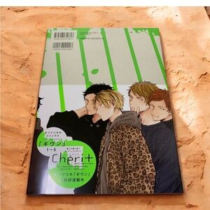 Anime Magna Art Book